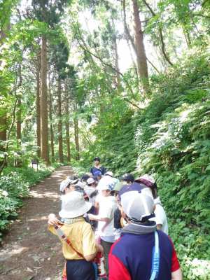 平成30年7月26日　夏季学習室活動・函館山登山